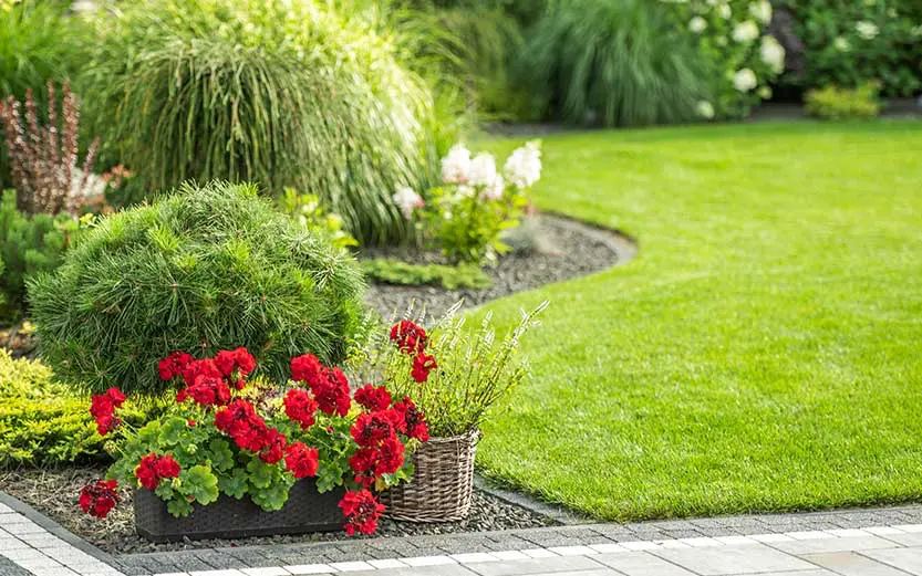 Gartenpflege und Rasen mähen